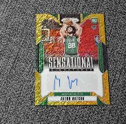 蜂鸟电竞活动-凯尔特人新秀表现惊艳，全场观众掌声不断，工作项目.的简单介绍