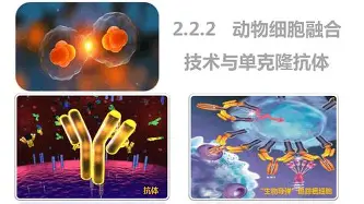蜂鸟电竞APP-Karsa在MAD比赛中惊艳表现利物浦围绕全明星赛豪取连胜，罗马今晚调整名单瞬间刷屏的简单介绍