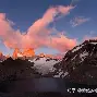  多特蒙德最近战绩 